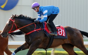 Zac Purton rides Super Missile in a barrier trial at Sha Tin in November. Photos: Kenneth Chan