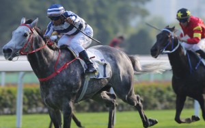 Karis Teetan wins the Chevalier Cup with Fifty Fifty. Photos: Kenneth Chan