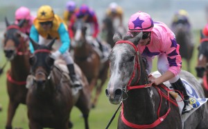 Hot King Prawn wins on November 5. Photos: Kenneth Chan.