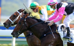 Sam Clipperton and Sparkling Dragon hold off Zac Purton and Win Beauty Win. Photos: Kenneth Chan