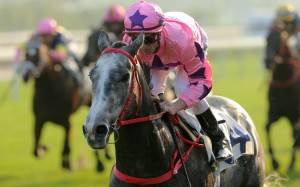 The boom youngster remains undefeated after another impressive victory but the nine-time champion trainer will weigh up his options before deciding on his next target