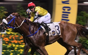 Neil Callan points to the camera as Chater Legend wins at Happy Valley in April. Photo: Kenneth Chan