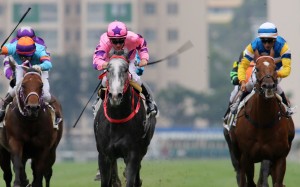 Dances With Dragon (left) finishes third to Hot King Prawn. Photos: Kenneth Chan