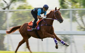 Joao Moreira rides Master Albert in a track gallop in September. Photos: Kenneth Chan.