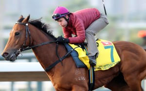 Tommy Berry puts Not Listenin’tome through his final paces for Sunday’s feature race. Photos: Kenneth Chan