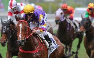 Zac Purton steers Golden Dash to a debut victory at Sha Tin. Photos: Kenneth Chan