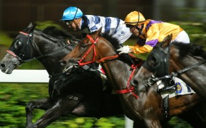 Chad Schofield drives Packing Dragon to victory at Happy Valley in May. Photo: Kenneth Chan