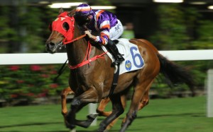Crown Avenue wins on December 13 for Umberto Rispoli. Photos: Kenneth Chan.