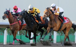 Wishful Thinker (right) trials at Sha Tin on January 12. Photo: Kenneth Chan