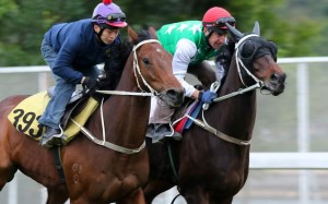 Pakistan Star (right), with trackwork rider Chris McMullen, enjoys a hit-out on Monday and is continuing along a path to his return. Photos: Kenneth Chan