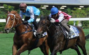Famous Warrior left) finishes alongside Brave Legend in a Happy Valley barrier trial. Photo: Kenneth Chan