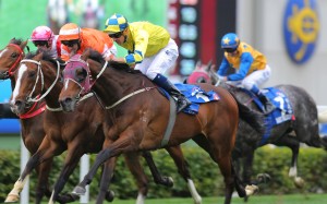 Hugh Bowman guides Werther to victory in the 2017 Citi Hong Kong Gold Cup. Photos: Kenneth Chan