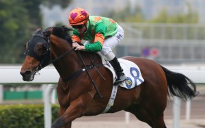 Good things normally happen when the jockey and trainer combine and they look set to notch another victory together with this progressive stayer