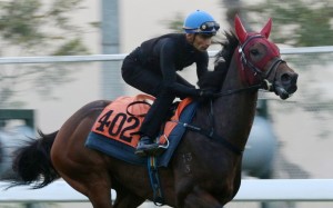 Karis Teetan gallops Circuit Glory on Thursday morning. Photo: Kenneth Chan