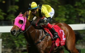 Douglas Whyte pumps his fist as Born In China salutes at Happy Valley. Photos: Kenneth Chan