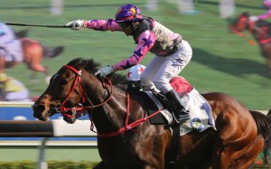 Brett Prebble salutes as Amazing Kids prevails at Sha Tin on Sunday. Photos: Kenneth Chan