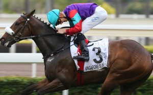 Chad Schofield screams in delight after winning the Classic Cup with Singapore Sling. Photos: Kenneth Chan