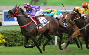 Karis Teetan drives What Else But You to victory at Sha Tin in March 2017. Photo: Kenneth Chan