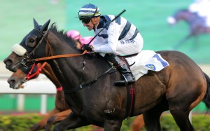 Nash Rawiller guides Harmony Hero to victory. Photos: Kenneth Chan