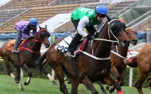 Pakistan Star passed his 1,600m barrier trial test earlier this week with Tommy Berry aboard. Photos: Kenneth Chan