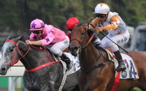 Wishful Thinker runs over the top of Hot King Prawn. Photo: Kenneth Chan
