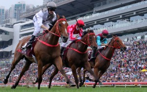 Ivictory holds off Mr Stunning and Beat The Clock in the Group One sprint. Photos: Kenneth Chan
