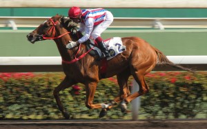 Olivier Doleuze gives Calculation a pat as he wins on the all-weather track in March. Photos: Kenneth Chan