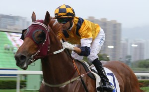 Styling City wins easily on April 15. Photos: Kenneth Chan