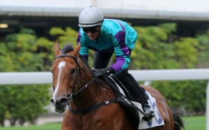 Zac Purton wins a trial with Seventy Seventy. Photo: Kenneth Chan