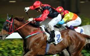 Brett Prebble drives Country Melody to victory at Happy Valley. Photos: Kenneth Chan