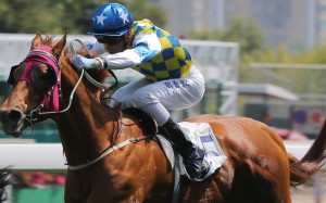 Sam Clipperton drives Solar Patch to victory at Sha Tin in April. Photos: Kenneth Chan