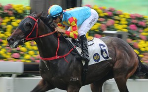 Joao Moreira guides Mission Tycoon to victory. Photos: Kenneth Chan