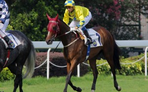 Jockey Douglas Whyte finishes sixth aboard Werther in the Lion Rock Trophy at Sha Tin. Photos: Kenneth Chan