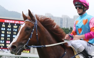 Zac Purton returns to scale on Handsome Bo Bo after his third straight win, Photos: Kenneth Chan.