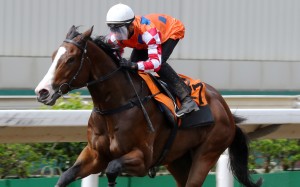 Encore Boy trials strongly at Sha Tin. Photos: Kenneth Chan