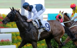 Zac Purton guides Sacred Ibis to victory. Photos: Kenneth Chan