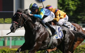 Jolly Banner wins last year’s Kwangtung Handicap Cup. Photos: Kenneth Chan