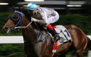 The South African jockey hopes the patience and hard work put in behind the scenes will pay dividends for ‘head case’