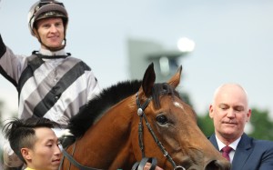 Little Giant with jockey Zac Purton and trainer David Hall after one of his victories. Photos: Kenneth Chan.