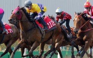 Easy Go Easy Win trials at Sha Tin last week with Zac Purton riding. Photos: Kenneth Chan