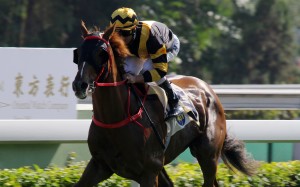 Glorious Forever wins again at Sha Tin on Sunday. Photos: Kenneth Chan
