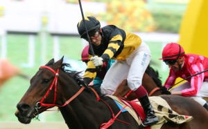 D B Pin, ridden by Olivier Doleuze wins the Group One Centenary Sprint Cup (1,200m) last season. Photos: Kenneth Chan