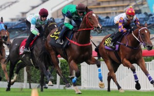 Glorious Spectrum (second from right) gallops during one of his trials. Photos: Kenneth Chan