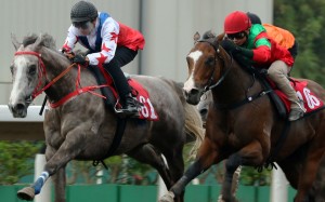 Big Party (left) clears out during a barrier trial last month after getting beaten as an odds-on favourite. Photos: Kenneth Chan