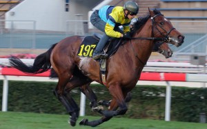 Righteous Doctrine trials under Alexis Badel last month. Photos: Kenneth Chan