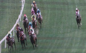 Multimillion (right) runs off the track despite the urgings of Douglas Whyte. Photos: Kenneth Chan