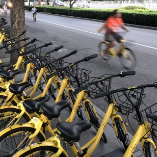 Change follows Shanghai Phoenix Bicycles' lawsuit over US$10 million in unpaid bills Ofo also faces lawsuits filed by Tianjin Flying Pigeon Cycle Manufacturing and two logistics firms