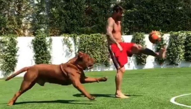 Lionel Messi and his dog Hulk playing football goes viral as Barcelona