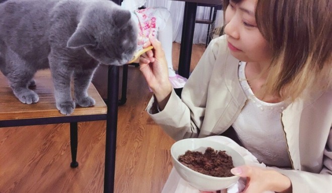 For some pet owners, no amount of pampering is enough for their animals.