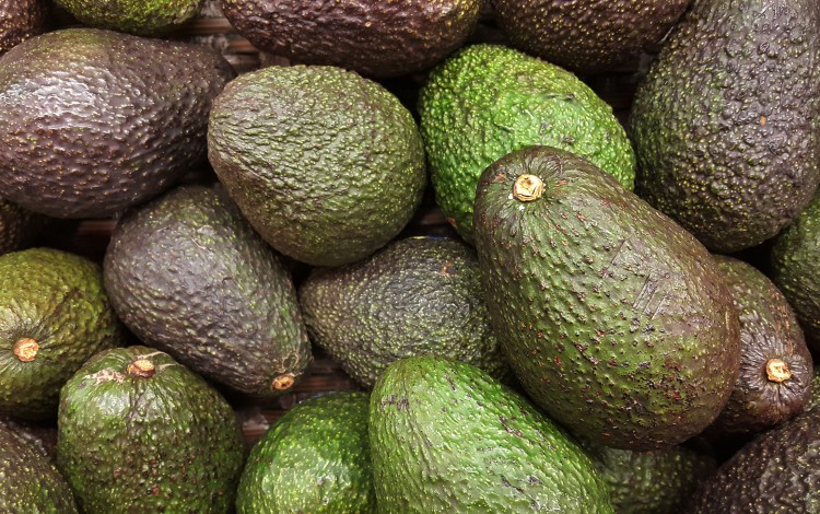 New Zealand's avocado 'crime wave': farmers fight back